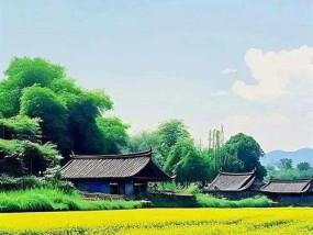 如何用手机拍出惊蛰风景照片？