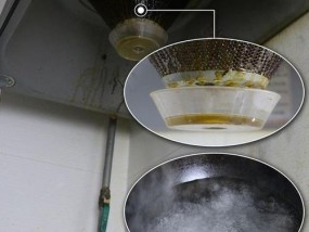 如何清洗抽油烟机的油泥（简单有效的清洁技巧与注意事项）