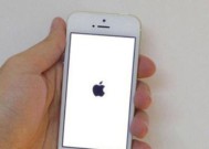 iPhone6Plus白苹果怎么办？恢复方法有哪些？