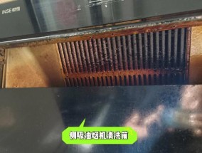 老是油烟机的清洗技巧（保持油烟机清洁的小窍门）