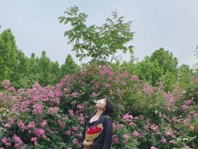 坐地拍照手机高度如何调整？有什么技巧吗？