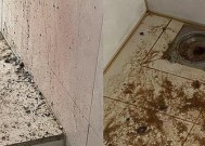 清洗没有排污口的热水器的有效方法（无排污口热水器清洗技巧及注意事项）