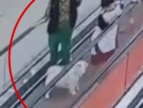 男孩商场扶梯上被狗咬伤，狗主人安慰几句后竟直接离开！警方介入