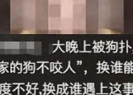 未牵绳小狗扑男子腿被踢开，狗主人不道歉，怒斥:我家狗又不咬人