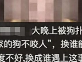 未牵绳小狗扑男子腿被踢开，狗主人不道歉，怒斥:我家狗又不咬人