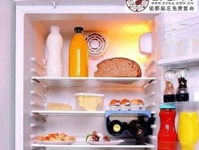活性炭在冰箱中的使用及注意事项（了解活性炭在冰箱中的作用和使用方法）