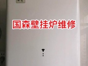 国森壁挂炉显示E9解决方法（分析E9显示故障的原因及解决方案）