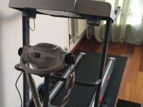 跑步机高速调速不了的原因及解决方法（探究跑步机高速调速故障的原因）