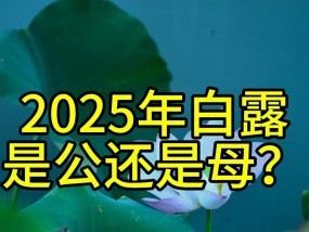 “公白露丢，母白露收”，2025年白露是公还是母？庄稼收成好不？