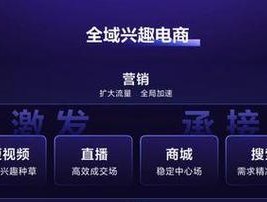 电商产品策略（通过市场洞察和用户需求来制定电商产品策略）