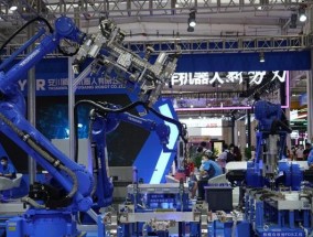 政府高层机器人种类有哪些？它们的主要功能是什么？