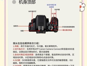 运动相机如何设置中文界面？操作步骤是什么？