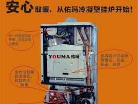 如何应对壁挂炉取暖管道漏水问题（快速解决壁挂炉漏水）