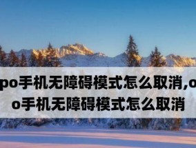 无障碍模式（提高用户体验）