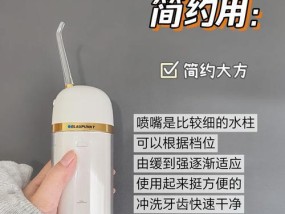 德国冲牙器的充电器是什么型号？如何正确使用？