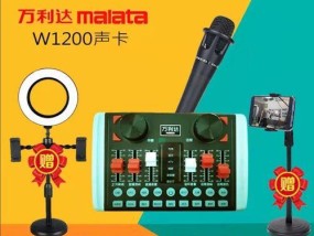 电脑麦克没有声音的解决方法（轻松解决电脑麦克无声问题）