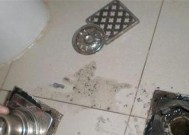 解决卫生间地漏反水问题的方法（卫生间地漏反水的原因和处理步骤）