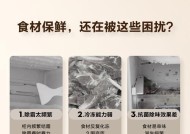 海尔冰箱冷冻板掉了怎么办（快速解决掉冷冻板的问题）