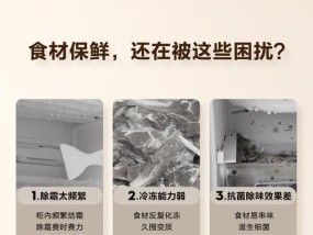 海尔冰箱冷冻板掉了怎么办（快速解决掉冷冻板的问题）