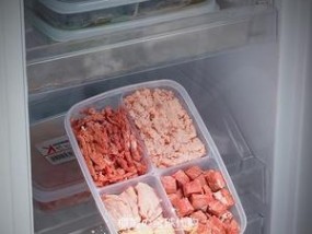 如何利用丸子冰柜进行有效收纳（简单又实用的家居整理技巧）