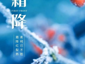 2022年最好的手机排行是哪些？如何选择适合自己的手机？
