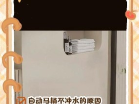 小米马桶不冲水的原因及解决方法（小米智能马桶不冲水可能的故障与维修技巧）