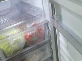冰柜异味处理方法（去除冰柜异味的有效措施及注意事项）