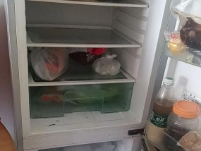 旧冰柜坏了怎么处理（无法修复的旧冰柜该如何处理）