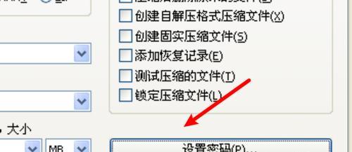 如何使用文档设置密码保护（简单有效的保护个人文档的方法）  第1张