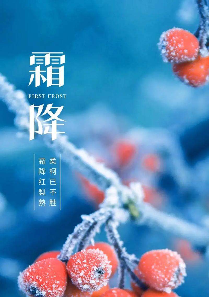 2022年最好的手机排行是哪些？如何选择适合自己的手机？  第1张