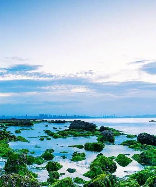 2023年十大手机排行榜是怎样的？哪些品牌手机最受关注？  第2张