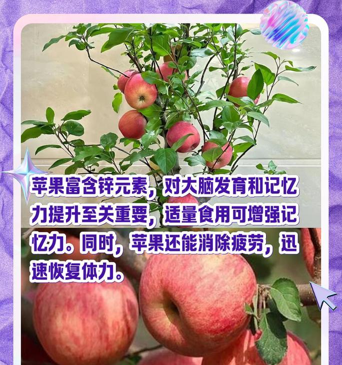 苹果手机有什么好处及优点？为何它如此受欢迎？  第3张