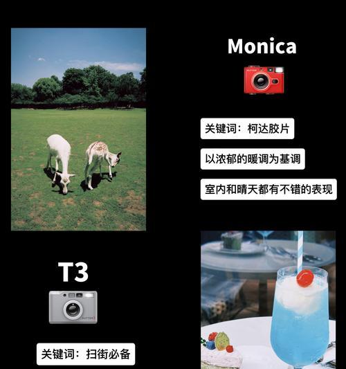 苹果手机相机色调怎么调？调整色调的步骤和技巧是什么？  第3张