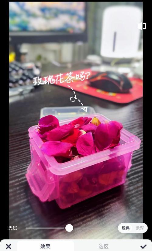 手机拍照如何设置背景虚化？背景虚化效果如何调整？  第3张