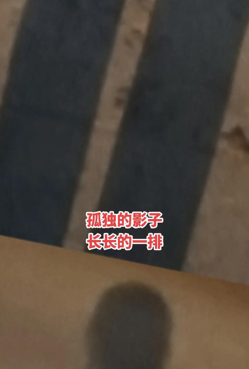 手机拍照避免影子的技巧是什么？如何拍出无影照片？  第2张