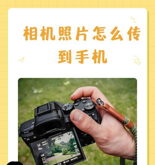 如何学习使用手机拍出更美观的照片？  第3张