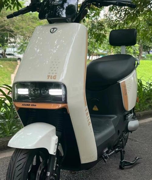 台铃星河eb充电器插头型号是什么？  第1张