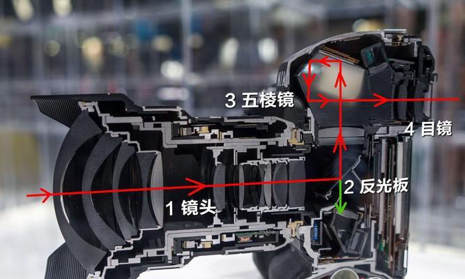 单反相机主板拆解步骤是什么？  第3张
