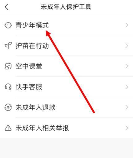 苹果手机如何开启回溯模式？开启后有哪些功能？  第1张
