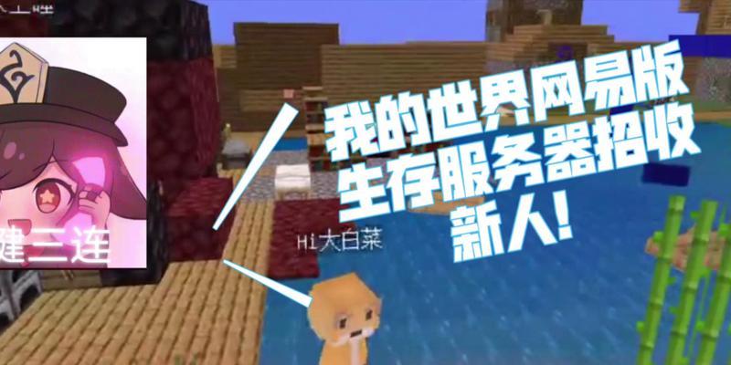 我的世界PC版怎样连接网易PE服务器？  第3张