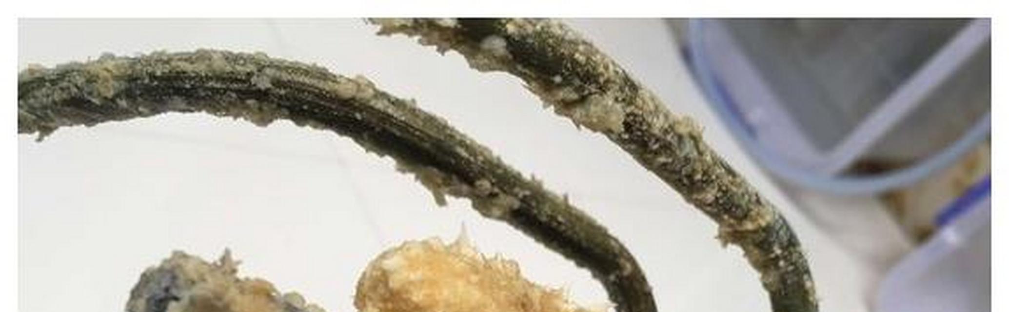 热水器出水变黄是什么原因？热水器黄色热水问题如何解决？  第3张