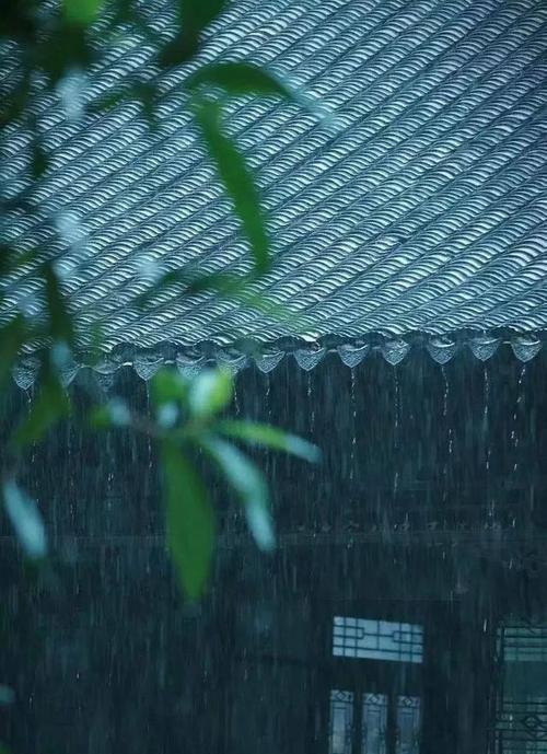 下雨天如何使用苹果手机？有哪些特别功能？  第2张