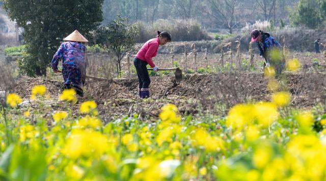 嘉苗移动硬盘性能如何？购买前需要考虑什么？  第2张