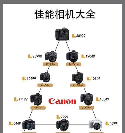 佳能相机照片被删了怎么恢复？恢复步骤是什么？  第3张