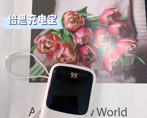 仓鼠移动电源怎么用？移动电源的正确使用和保养方法是什么？  第3张