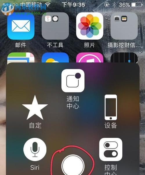 苹果手机软件放大后怎么缩小？操作步骤是什么？  第3张