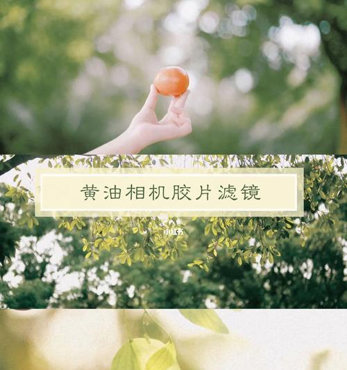 相机胶片滤镜索尼怎么用？索尼相机胶片滤镜的使用方法是什么？  第2张