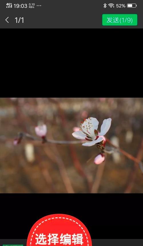 怎么用ai生成水印相机照片？操作流程是怎样的？  第1张