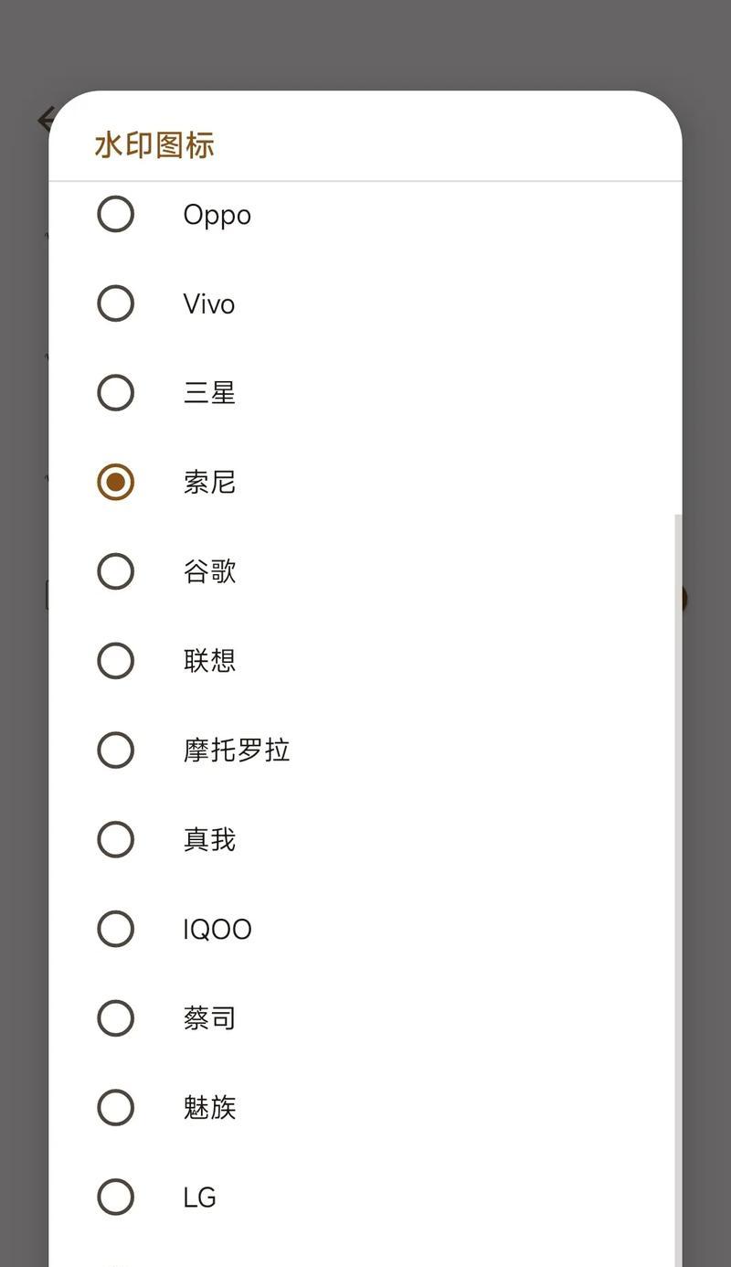 谷歌相机水印调整方法是什么？  第2张