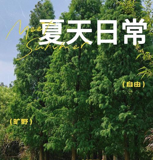 宝丰数据线质量如何？使用体验好不好？  第3张
